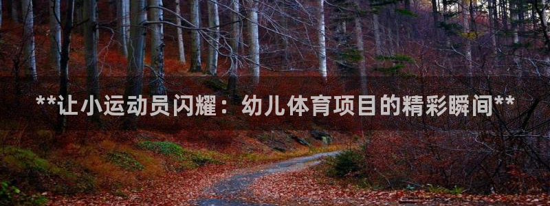 星欧娱乐平台怎么样啊安全吗