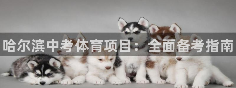 星欧娱乐是正规品牌吗