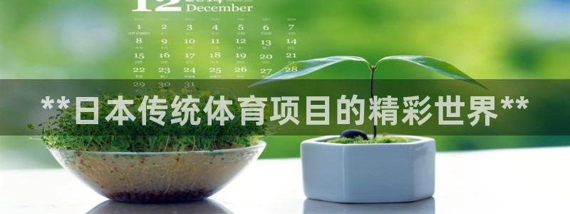 星欧娱乐公司创始人背景故事介绍