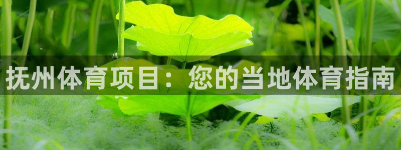 星欧娱乐伐711.112扣费的原因及处理措施