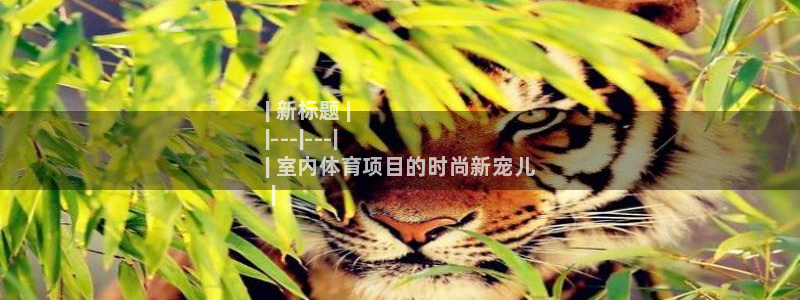 星欧娱乐扣款流程详解图