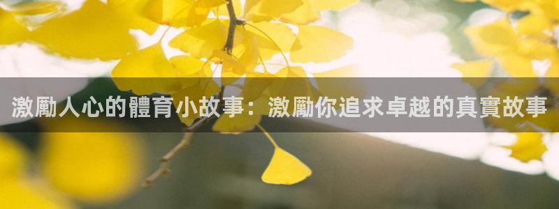 星娱乐包月业务是什么