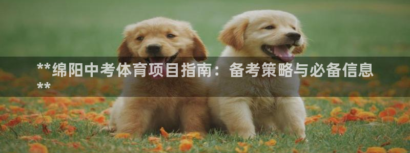 星欧娱乐信存手机版下载