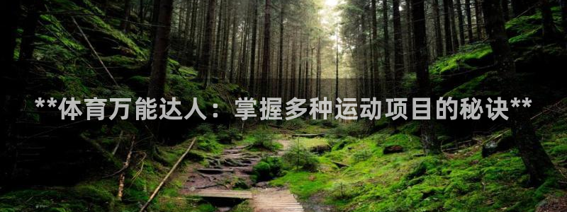 星欧娱乐平台测速线路设置