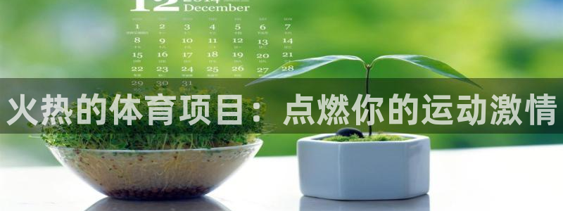 星欧娱乐扣款时间查询方法怎么查不了