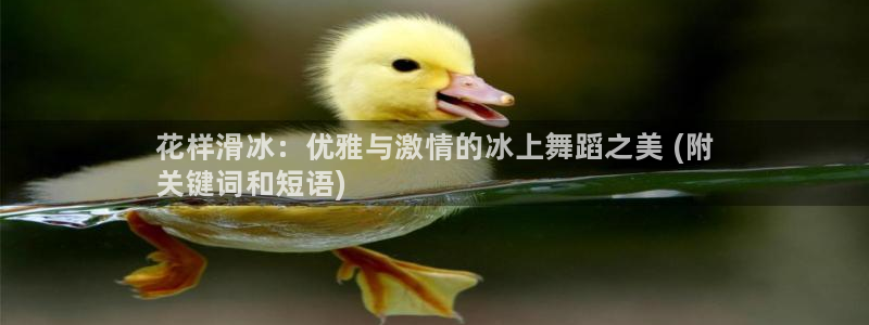 星欧娱乐最建议买的三个产品有哪些