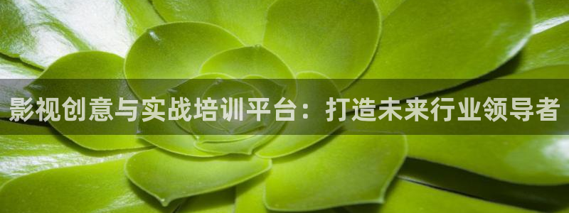 天狼影院手机在线观看：影视创意与实战培训平台：打造未来行业领导者