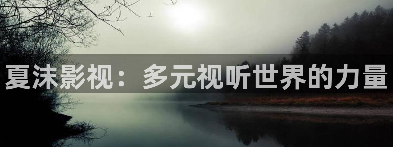 天狼影院日本：夏沫影视：多元视听世界的力量