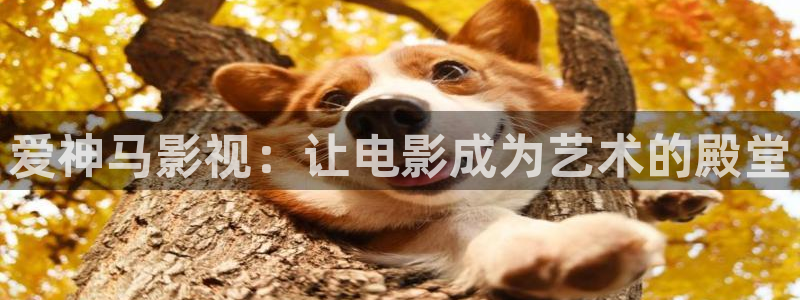天狼影影院：爱神马影视：让电影成为艺术的殿堂