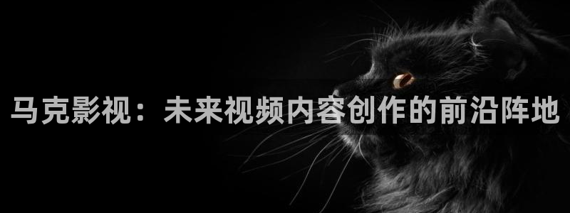 日本理论天狼影院：马克影视：未来视频内容创作的前沿阵地