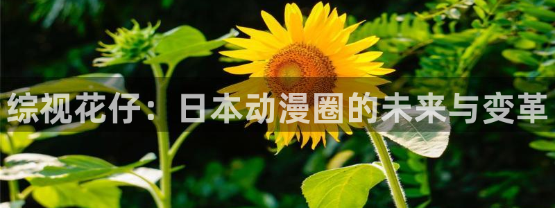 天狼星影院：综视花仔：日本动漫圈的未来与变革