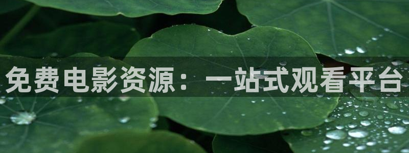 电影天狼：免费电影资源：一站式观看平台