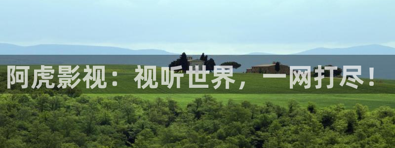 战天狼星辰影院：阿虎影视：视听世界，一网打尽！