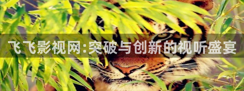 入青云天狼影院在线观看：飞飞影视网:突破与创新的视听盛宴