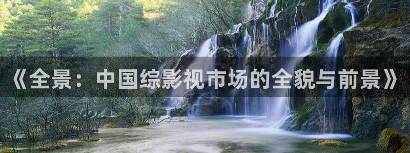 天狼影院2025最新：《全景：中国综影视市场的全貌与前景》