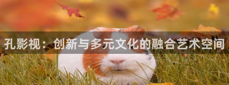 天狼影院年轻的妈妈：孔影视：创新与多元文化的融合艺术空间